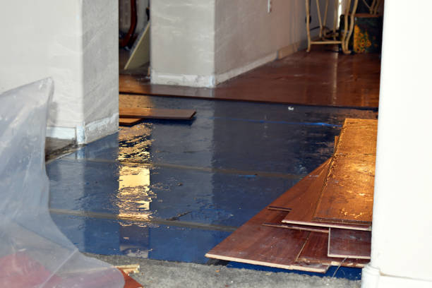 Professional Water Damage Restoration technician working in Freeland, PA